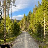 Review photo of Redfish Lake Overflow Dispersed by Amy K., July 22, 2025