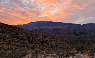 Stephen L.'s photo of a dispersed camping area at Redington Pass - Dispersed Camping near Saguaro National Park