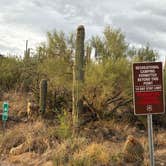 Review photo of Redington Pass - Dispersed Camping by Talia R., September 15, 2025