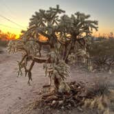 Review photo of Redrock Trail Head Dispersed by Jonathan E., June 29, 2025