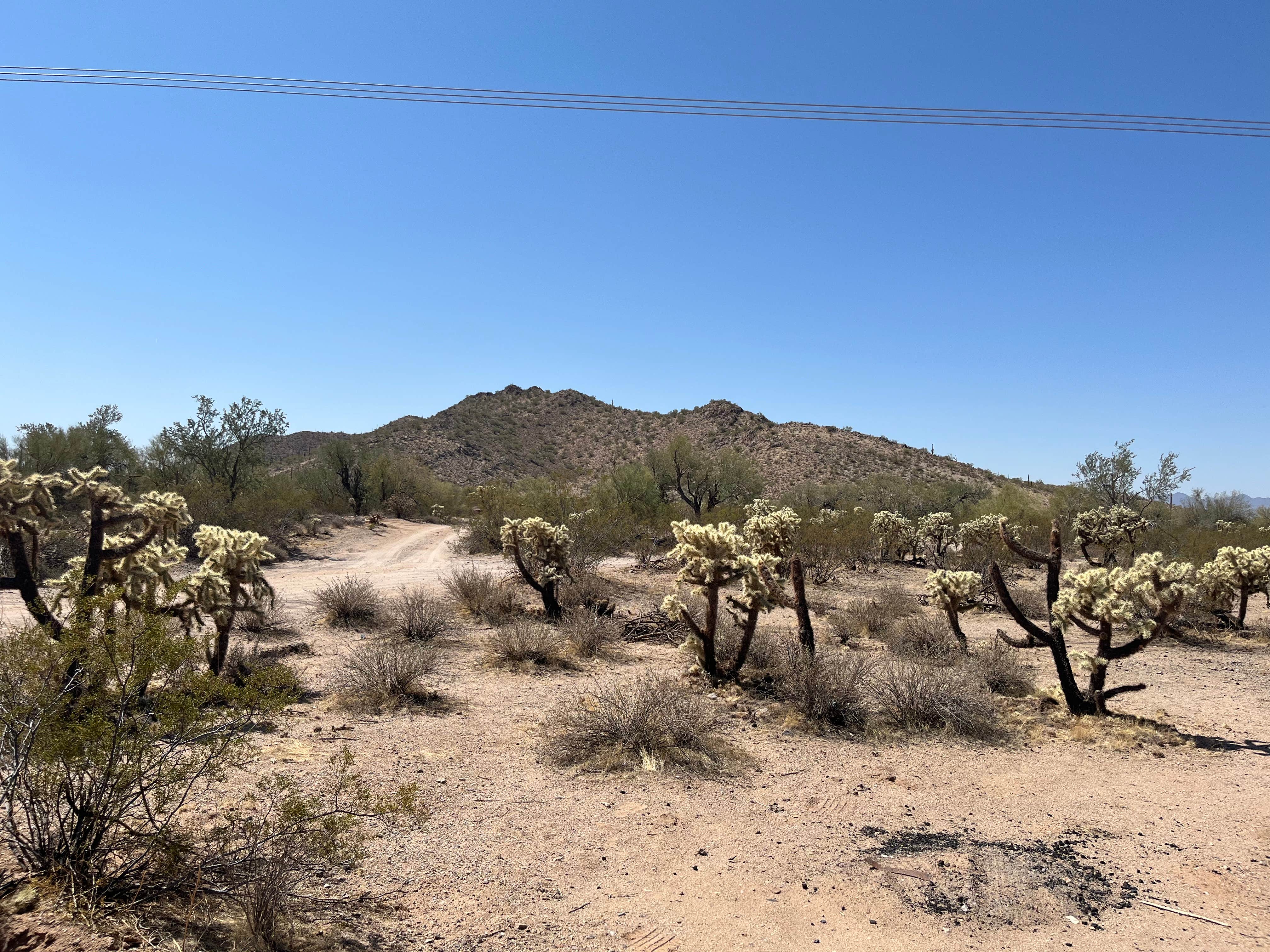 Camping near Cactus Forest Dispersed: Redrock Trail Head Dispersed, Marana, Arizona