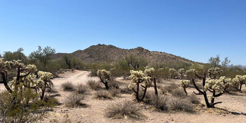 Camper submitted image from Redrock Trail Head Dispersed