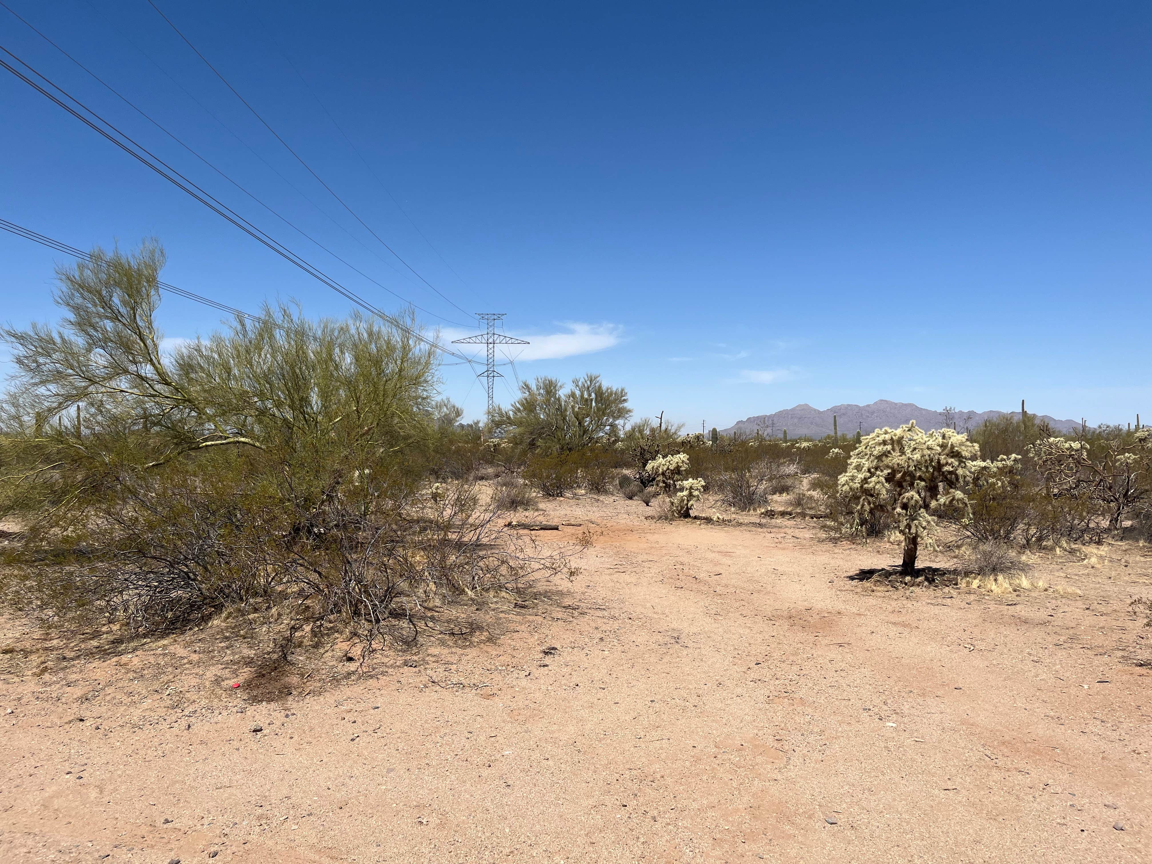 Camper-submitted photo at Redrock Trail Head Dispersed near Eloy, AZ