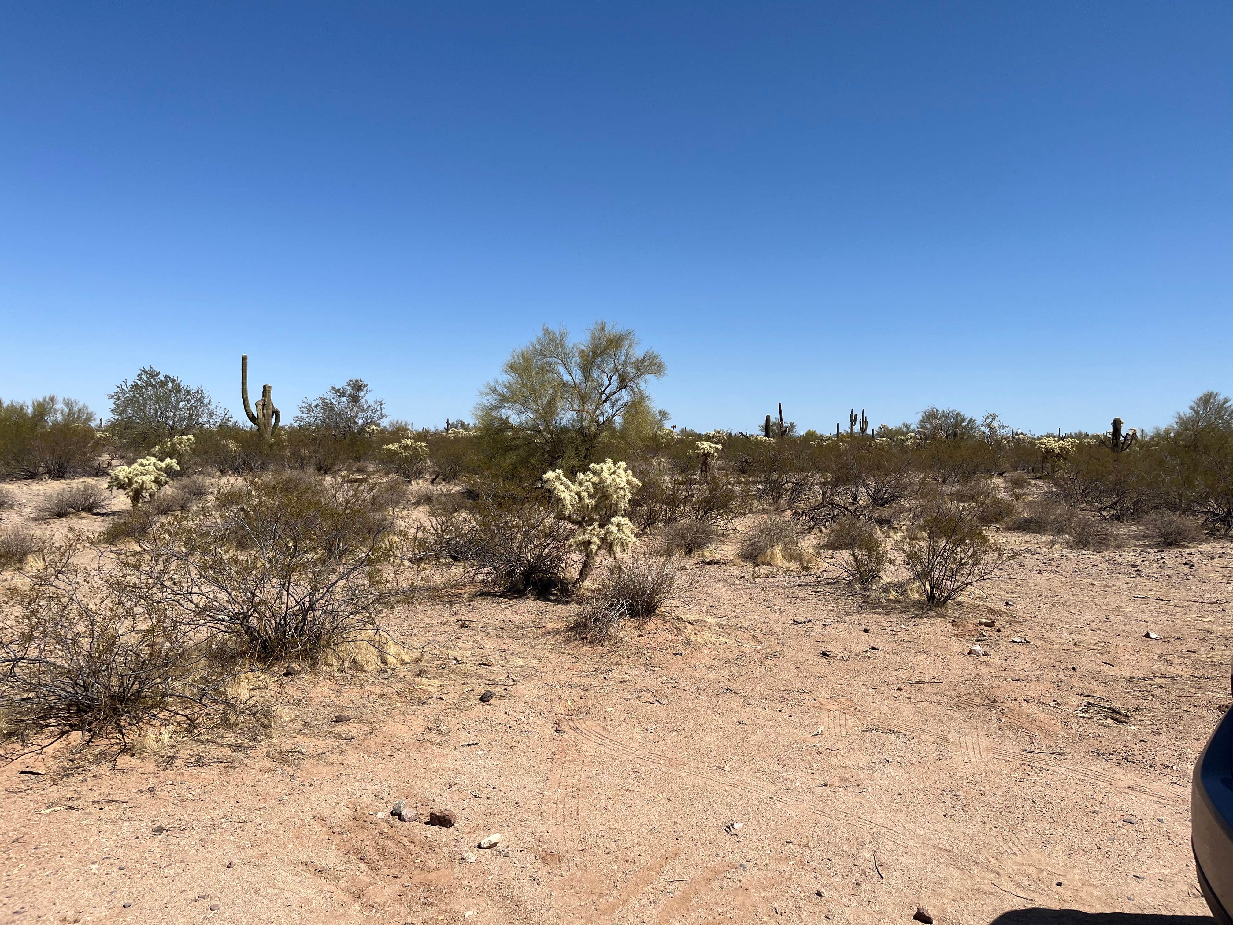 Camper-submitted photo at Redrock Trail Head Dispersed near Eloy, AZ