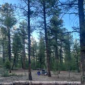 Review photo of Redskin Creek Rd Dispersed Campsite by Jenny M., April 21, 2025