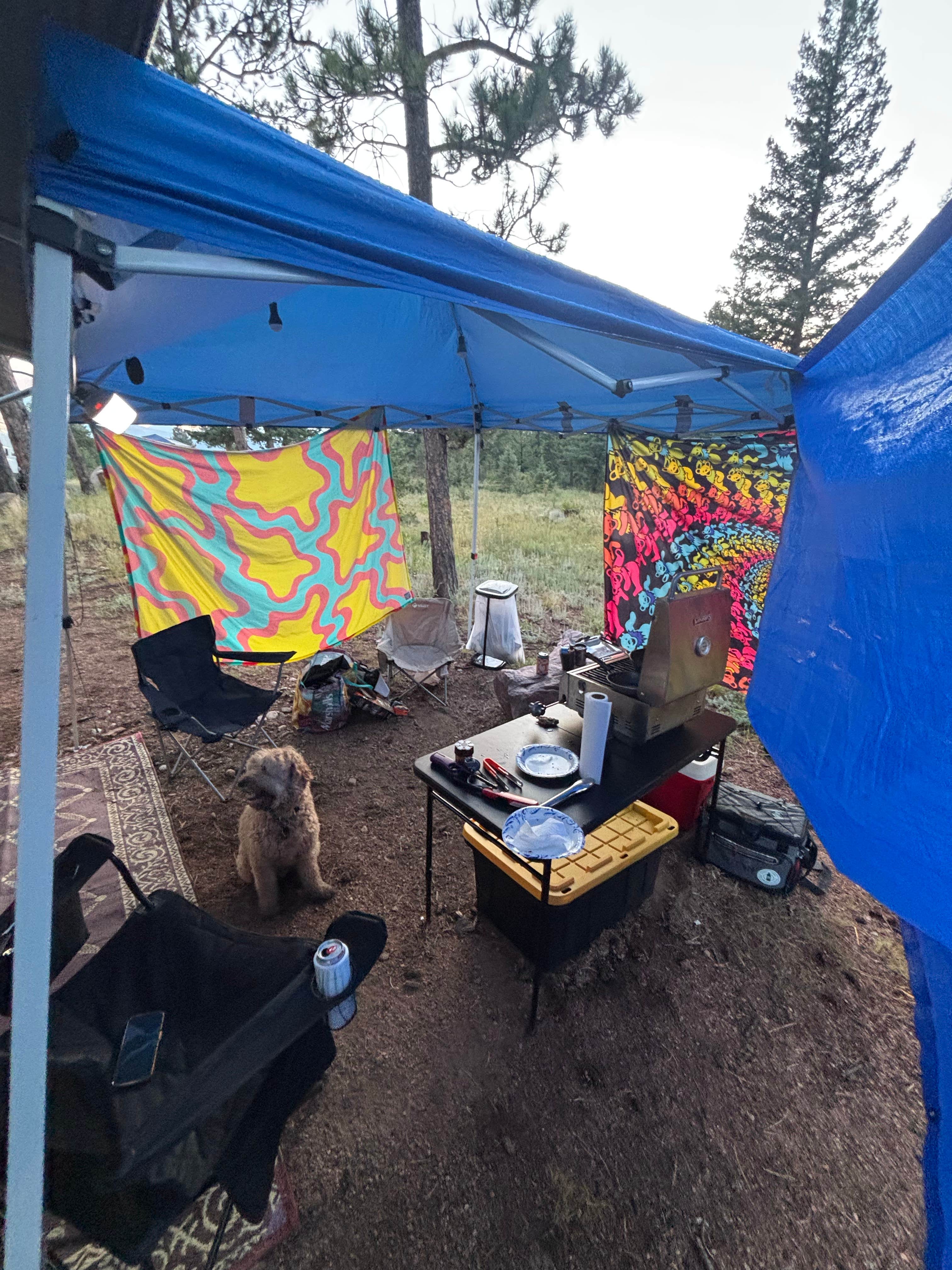 Frank B.'s photo of a dispersed camping area at Redskin Creek Rd Dispersed Campsite near Idledale, CO