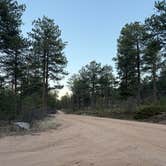 Review photo of Redskin Creek Rd Designated Campsite by Callie C., March 19, 2026