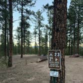 Review photo of Redskin Creek Rd Designated Campsite by Callie C., March 19, 2026