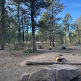 Review photo of Redskin Creek Rd Designated Campsite by Conner , December 14, 2025