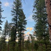 Review photo of Redskin Creek Rd Designated Campsite by Kelsey W., June 14, 2026