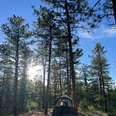Review photo of Redskin Creek Rd Designated Campsite by Kelsey W., June 14, 2026