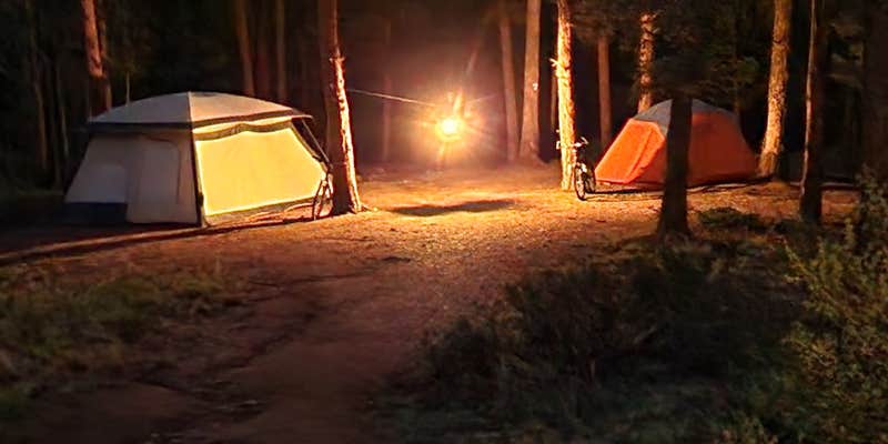 Camper submitted image from Redskin Creek Rd Designated Campsite