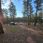 Review photo of Redskin Creek Rd Designated Campsite by Sam D., August 7, 2026