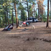Review photo of Redskin Creek Rd Designated Campsite by Scott S., August 1, 2026