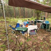 Review photo of Redskin Creek Rd Dispersed Campsite by David H., January 11, 2025