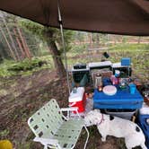 Review photo of Redskin Creek Rd Dispersed Campsite by David H., January 11, 2025