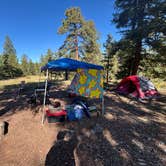 Review photo of Redskin Creek Rd Dispersed Campsite by Frank B., October 3, 2025