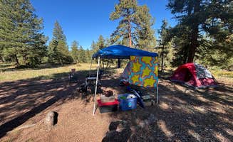 Frank B.'s photo at Redskin Creek Rd Designated Campsite near Conifer, CO