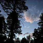 Review photo of Redskin Creek Rd Designated Campsite by Michelle V., September 4, 2026