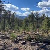 Review photo of Redskin Creek Rd Dispersed Campsite by Frank B., October 3, 2025
