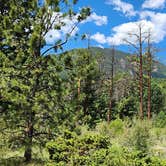 Review photo of Redskin Creek Rd Dispersed Campsite by David H., January 11, 2025