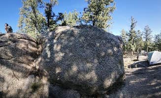 Abby B.'s photo of a dispersed camping area at Redskin Creek Rd Dispersed Campsite near Denver, CO