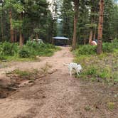 Review photo of Redskin Creek Rd Dispersed Campsite by David H., January 11, 2025