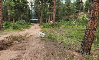 David H.'s photo of camping with pets at Redskin Creek Rd Dispersed Campsite near Castle Pines, CO