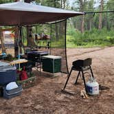 Review photo of Redskin Creek Rd Dispersed Campsite by David H., January 11, 2025