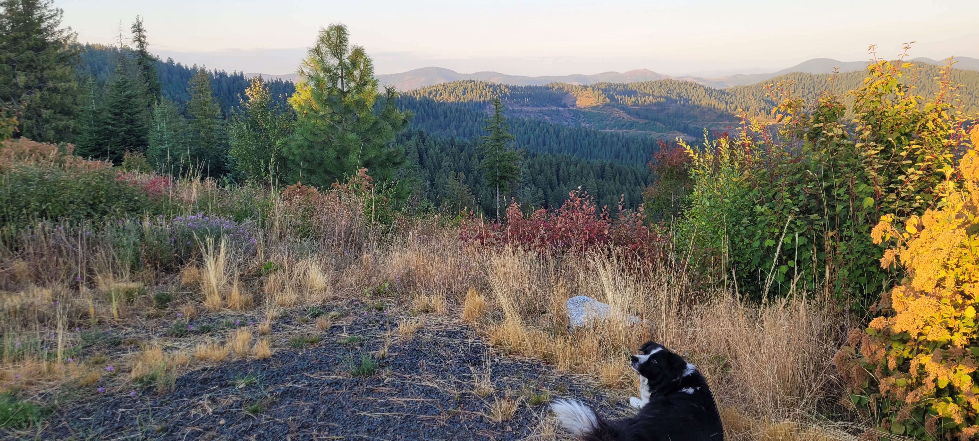 Camper submitted image from Redtail Campground — Mary Minerva McCroskey State Park - 4