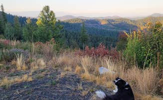 brett I.'s photo of camping with pets at Redtail Campground — Mary Minerva McCroskey State Park near Lamont, WA