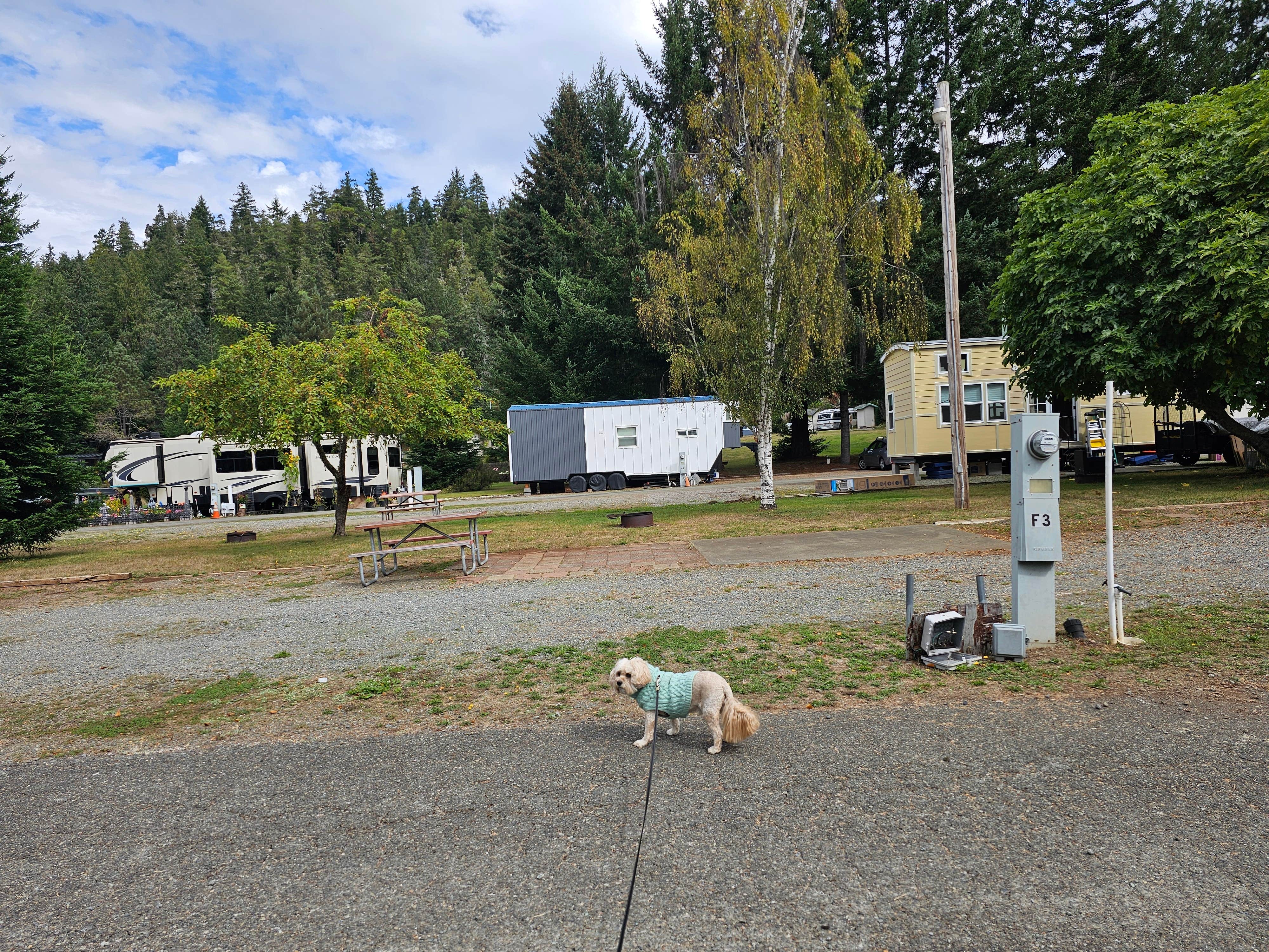 Camper-submitted photo at Redwood Acres RV Park near Orick, CA