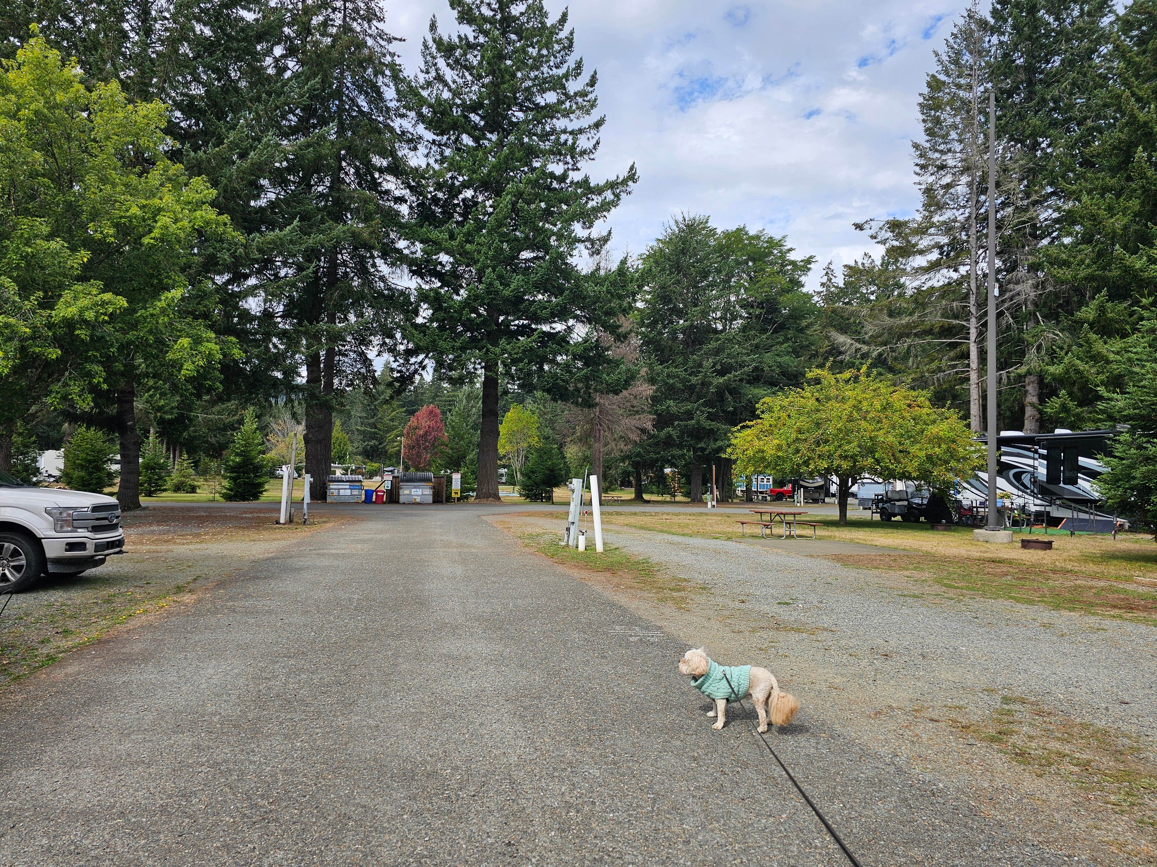 Camping near Coastal Pines RV Park: Redwood Acres RV Park, Eureka, California