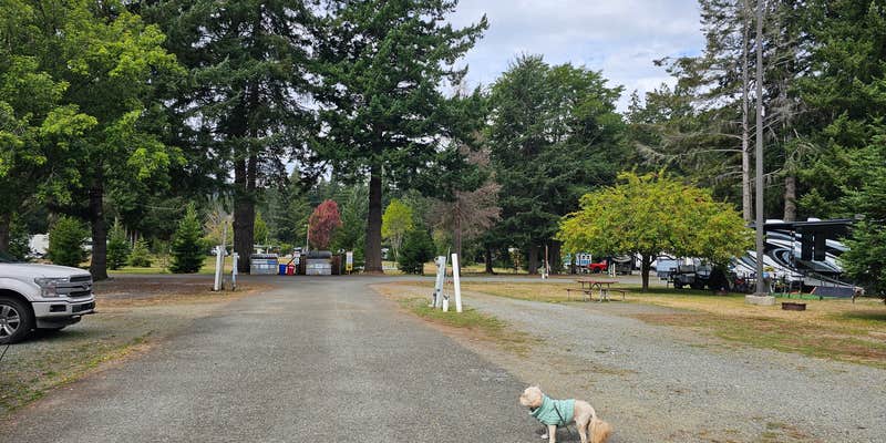 Camper submitted image from Redwood Acres RV Park