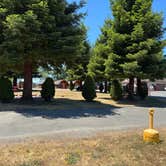 Review photo of Redwood Coast Cabins & RV Resort by Lawrence L., July 22, 2024