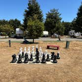 Review photo of Redwood Coast Cabins & RV Resort by Lawrence L., July 22, 2024