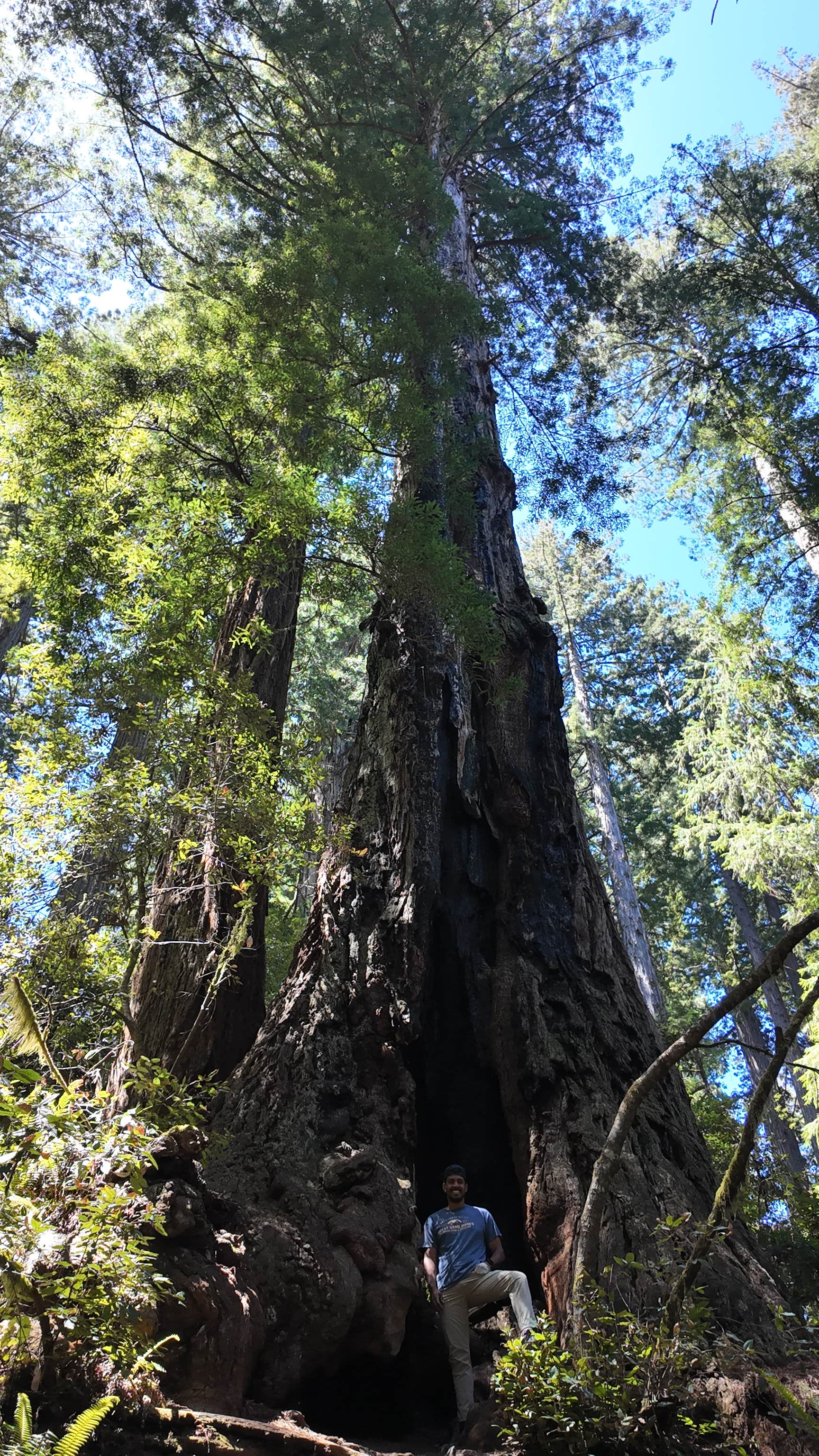 Camper-submitted photo at Redwood Creek Dispersed Camp near Somes Bar, CA