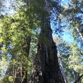 Review photo of Redwood Creek Dispersed Camp by Leah H., May 28, 2025