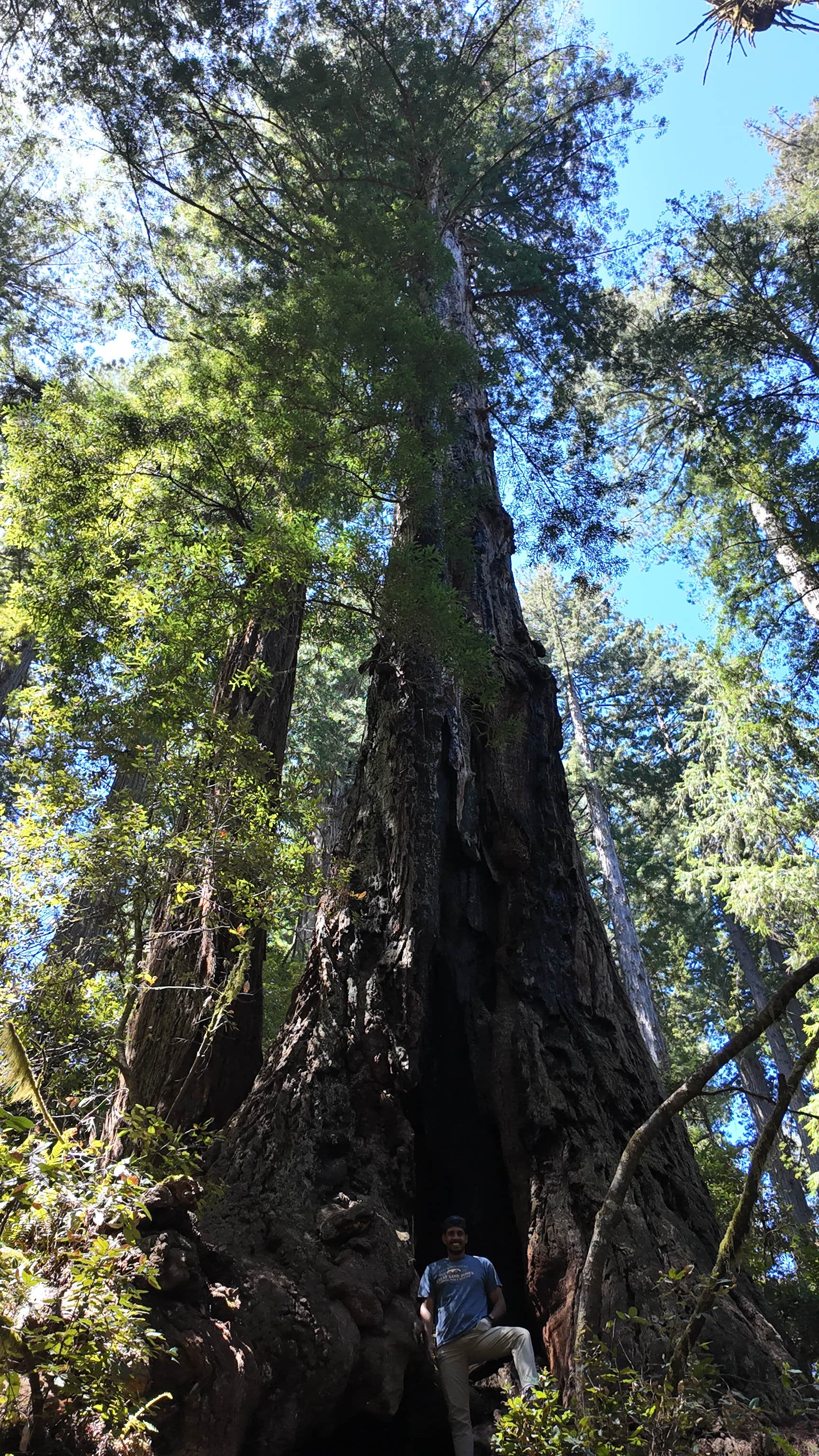Camper-submitted photo at Redwood Creek Dispersed Camp near Somes Bar, CA