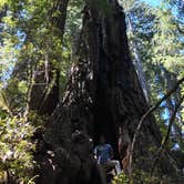 Review photo of Redwood Creek Dispersed Camp by Leah H., May 28, 2025