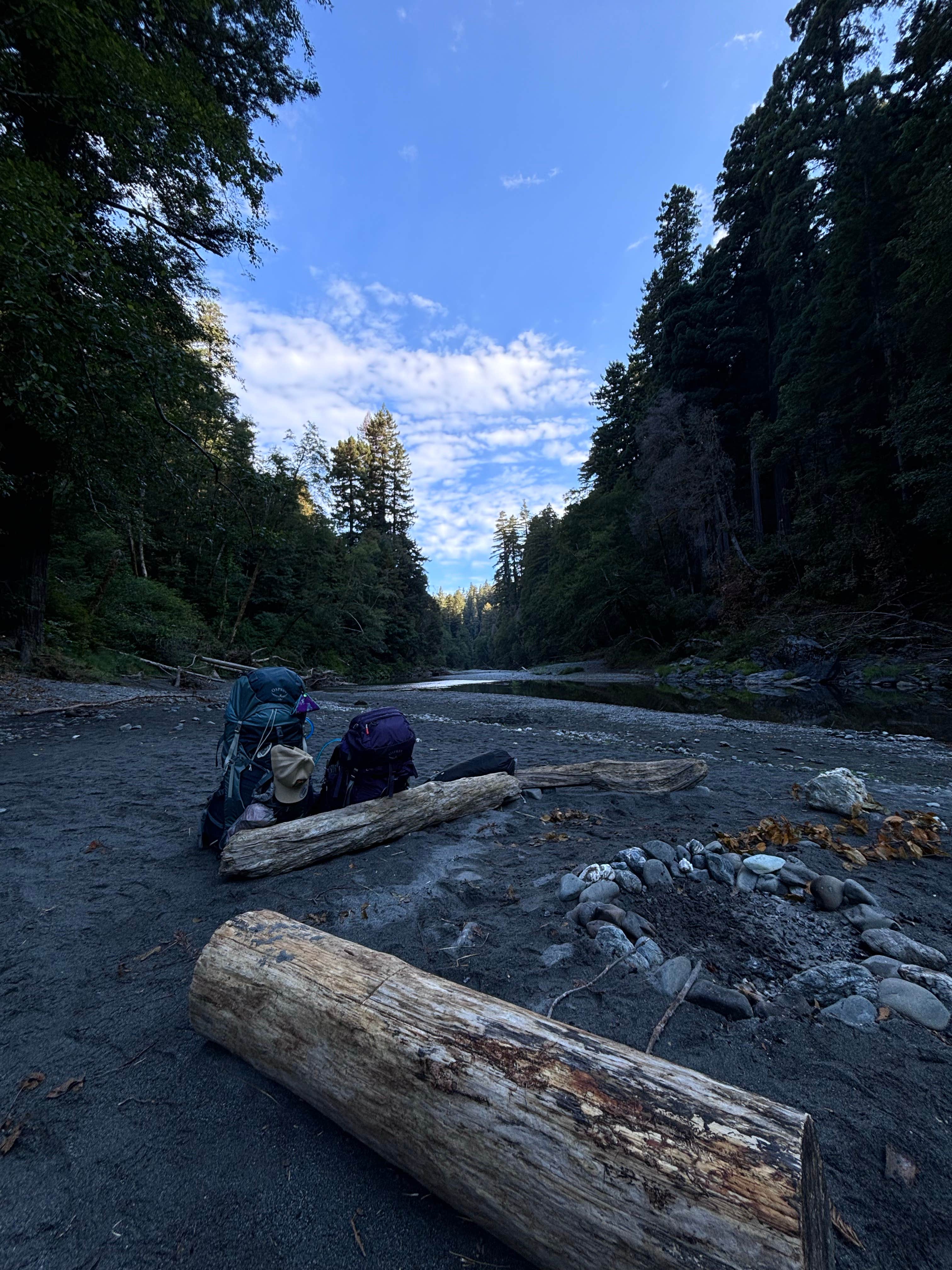 Camper submitted image from redwood creek dispersed camp - 2