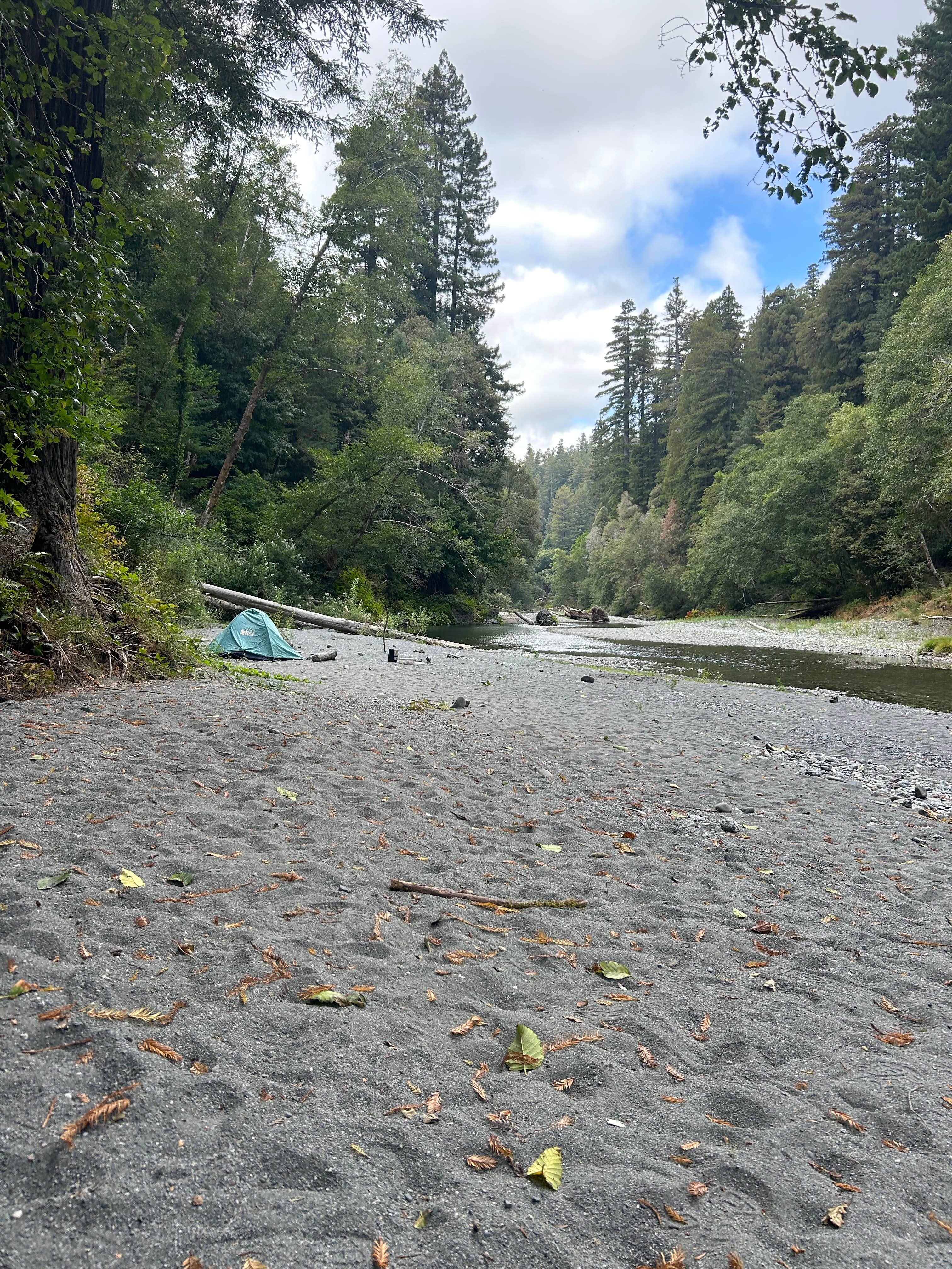 Camper-submitted photo at Redwood Creek Dispersed Camp near Willow Creek, CA