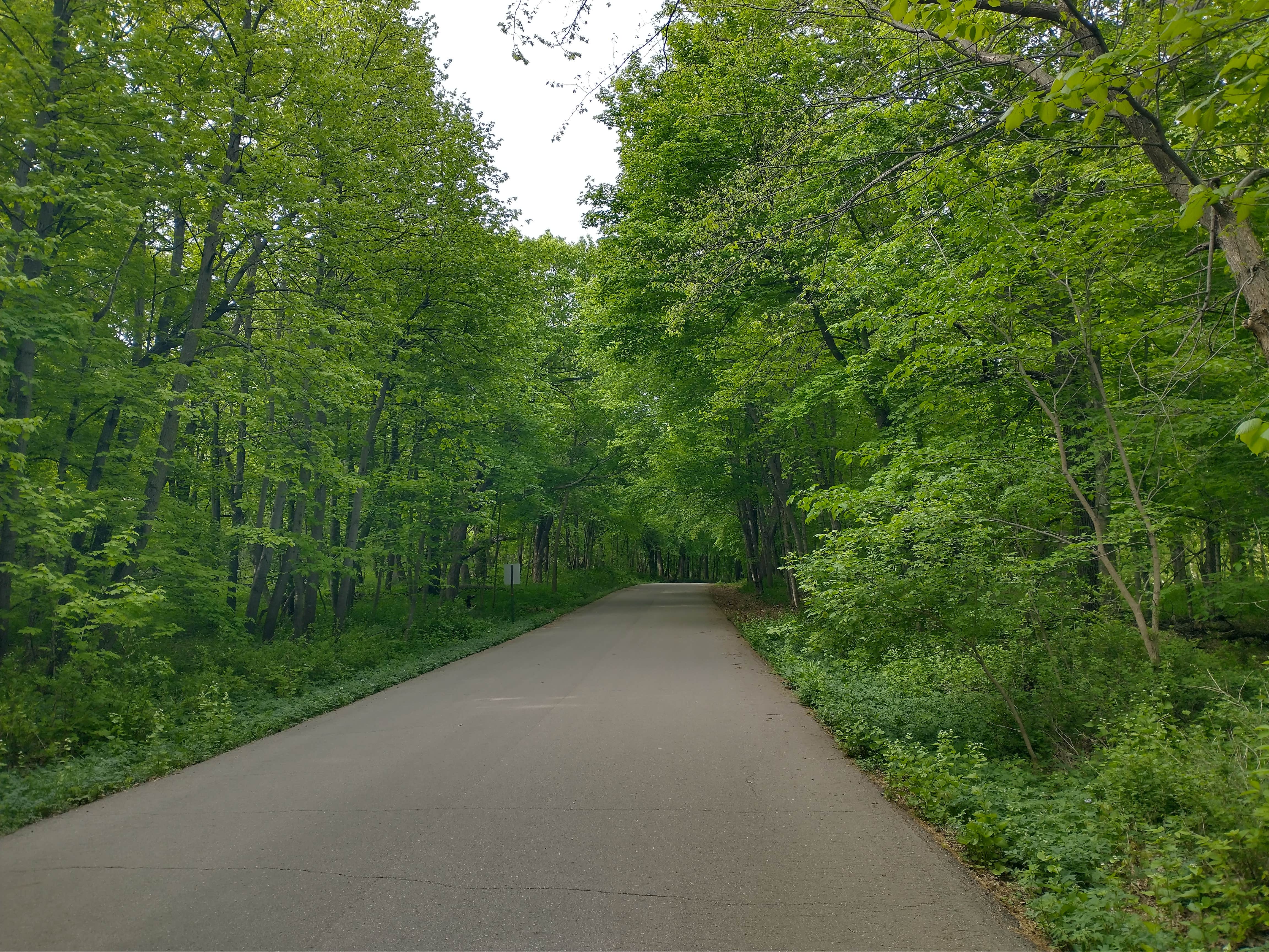Roads