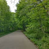 Review photo of Redwood Lodge — Camden State Park by leland D., May 21, 2026