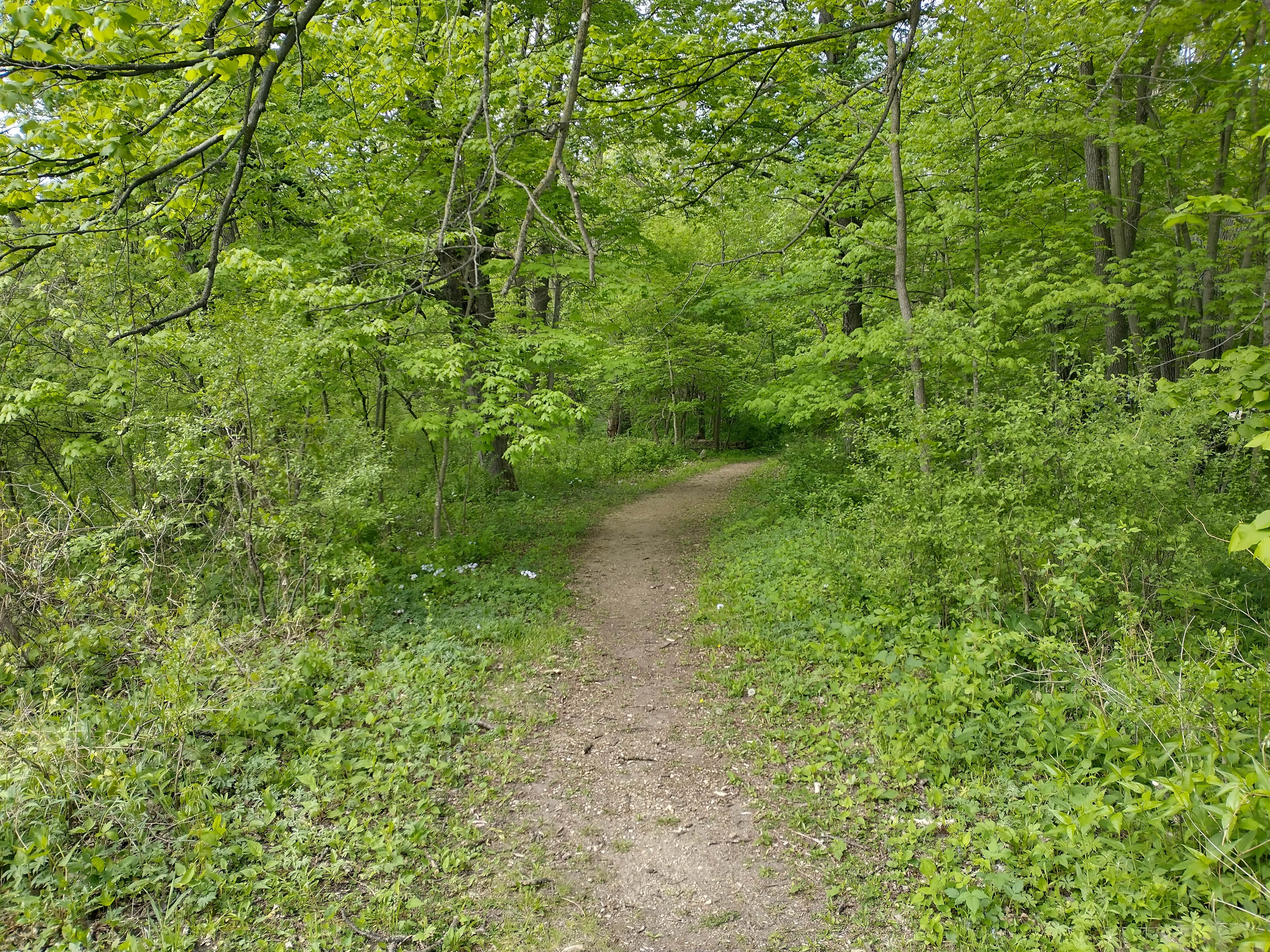 Camper-submitted photo at Redwood Lodge — Camden State Park near Minneota, MN