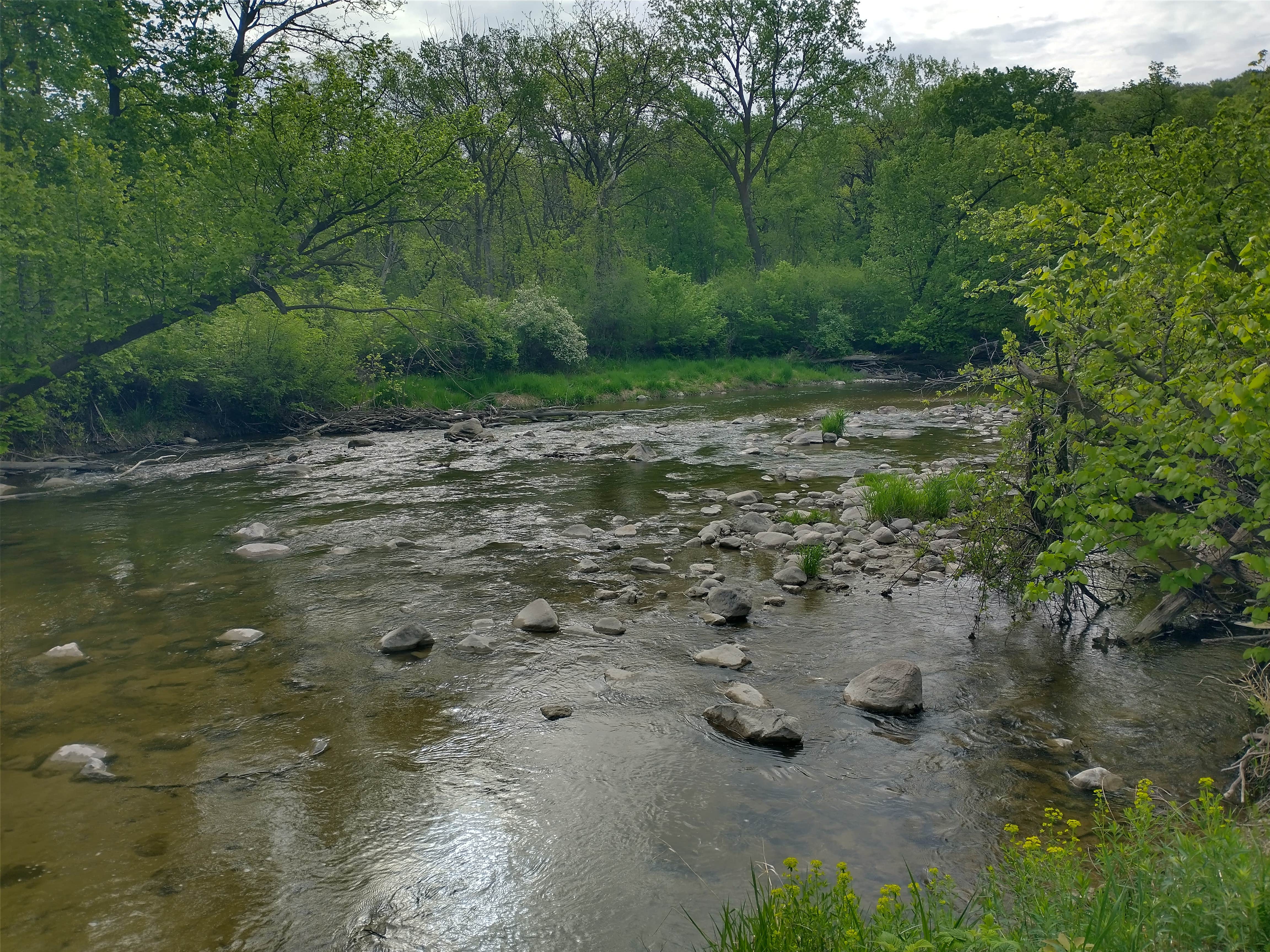Camper-submitted photo at Redwood Lodge — Camden State Park near Minneota, MN