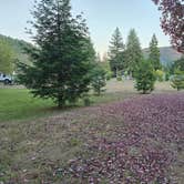 Review photo of Redwood Meadows RV Resort by Amanda V., September 24, 2025