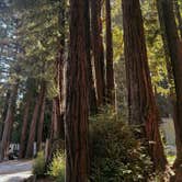 Review photo of Redwood Resort RV Park & Campground by Sary W., September 22, 2025