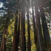 Review photo of Redwood Resort RV Park & Campground by Sary W., September 22, 2025