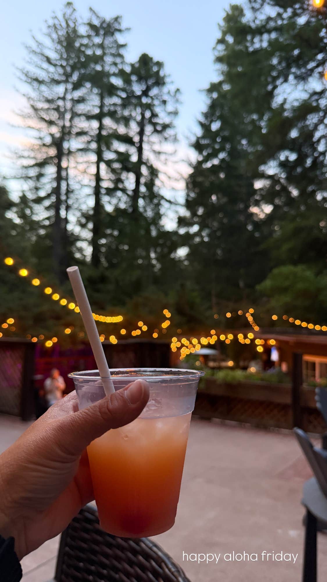 Camper-submitted photo at Redwoods River Resort & Campground near Weott, CA